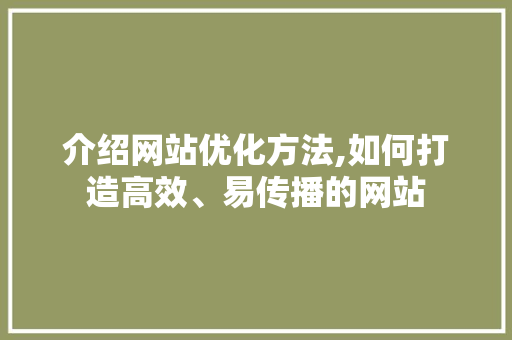 介绍网站优化方法,如何打造高效、易传播的网站