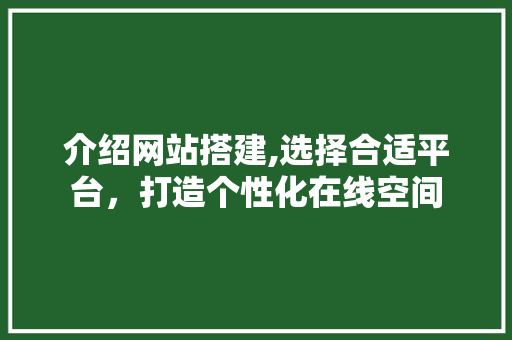 介绍网站搭建,选择合适平台，打造个性化在线空间