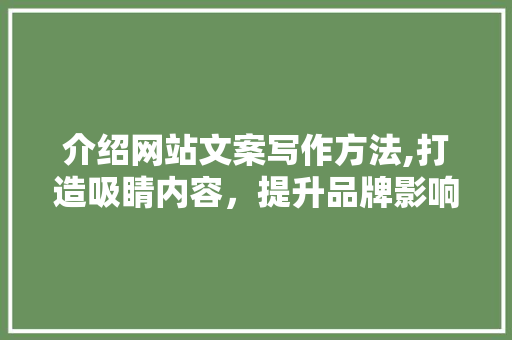 介绍网站文案写作方法,打造吸睛内容，提升品牌影响力