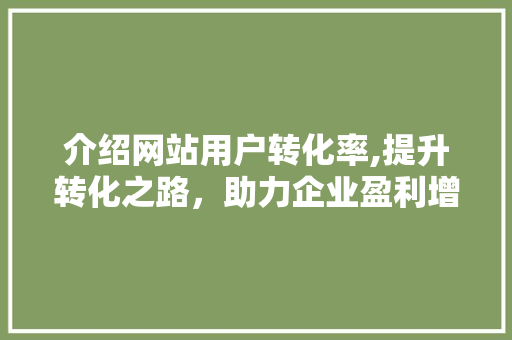 介绍网站用户转化率,提升转化之路，助力企业盈利增长