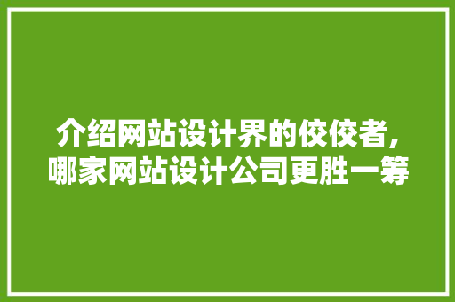 介绍网站设计界的佼佼者,哪家网站设计公司更胜一筹