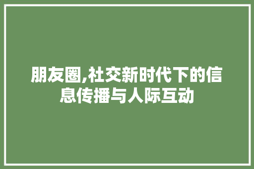 朋友圈,社交新时代下的信息传播与人际互动