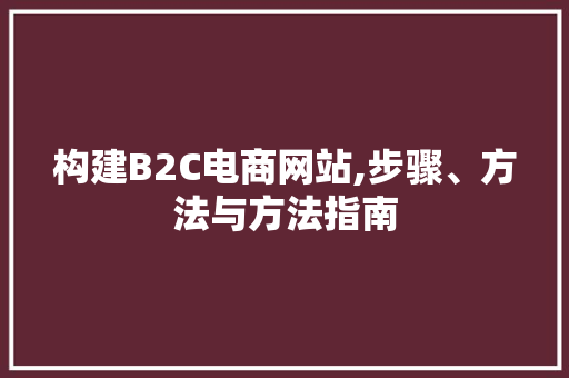 构建B2C电商网站,步骤、方法与方法指南