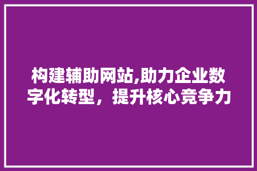 构建辅助网站,助力企业数字化转型，提升核心竞争力