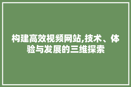 构建高效视频网站,技术、体验与发展的三维探索