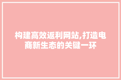 构建高效返利网站,打造电商新生态的关键一环