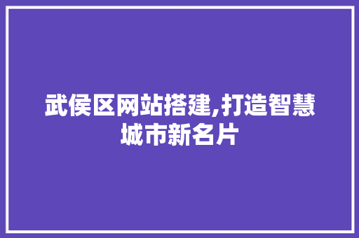 武侯区网站搭建,打造智慧城市新名片