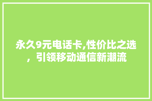 永久9元电话卡,性价比之选，引领移动通信新潮流