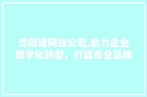 沈阳建网站公司,助力企业数字化转型，打造专业品牌形象