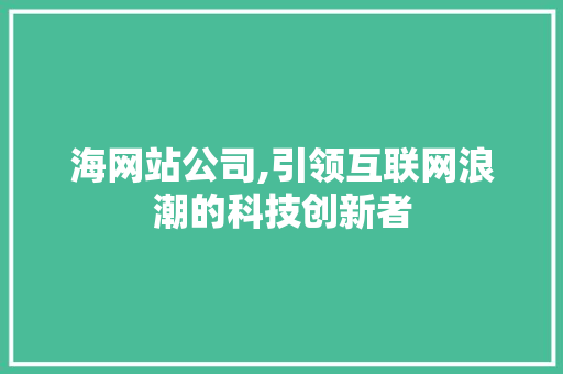 海网站公司,引领互联网浪潮的科技创新者