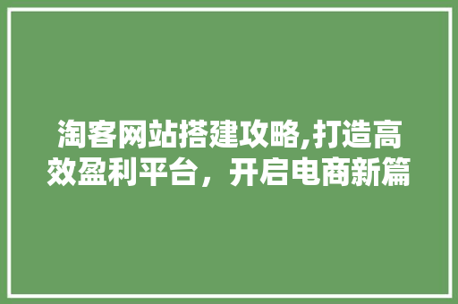 淘客网站搭建攻略,打造高效盈利平台，开启电商新篇章