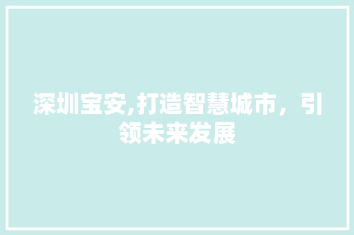 深圳宝安,打造智慧城市，引领未来发展