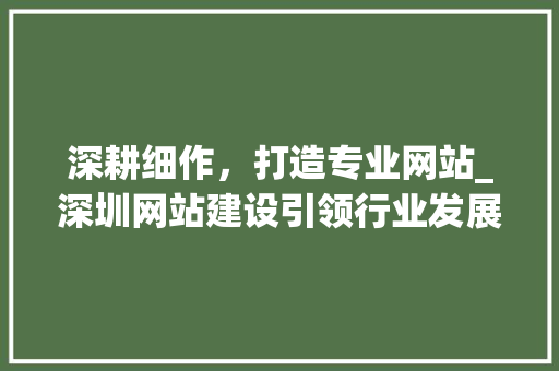 深耕细作，打造专业网站_深圳网站建设引领行业发展