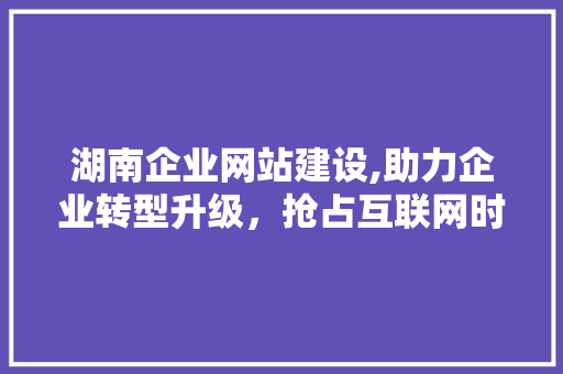 湖南企业网站建设,助力企业转型升级，抢占互联网时代先机