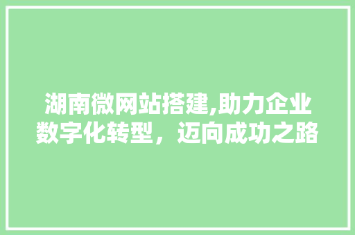 湖南微网站搭建,助力企业数字化转型，迈向成功之路