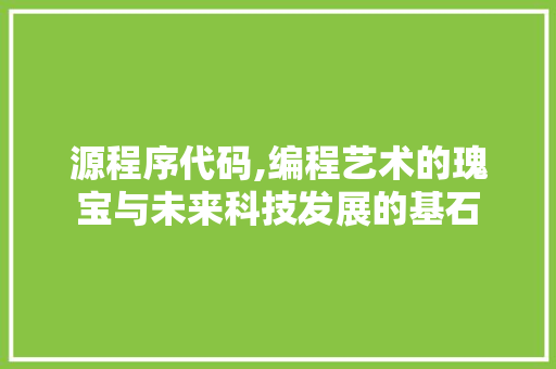 源程序代码,编程艺术的瑰宝与未来科技发展的基石