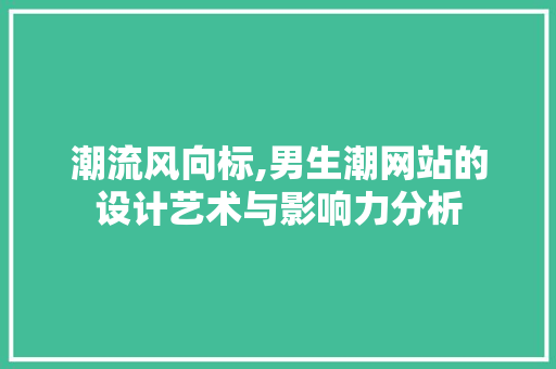 潮流风向标,男生潮网站的设计艺术与影响力分析