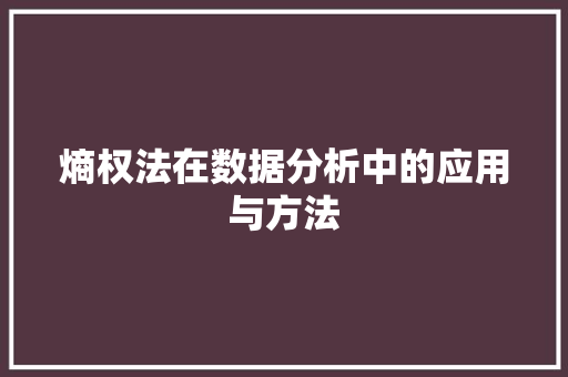 熵权法在数据分析中的应用与方法