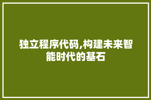 独立程序代码,构建未来智能时代的基石