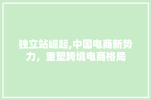 独立站崛起,中国电商新势力，重塑跨境电商格局