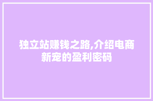 独立站赚钱之路,介绍电商新宠的盈利密码