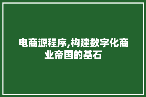 电商源程序,构建数字化商业帝国的基石