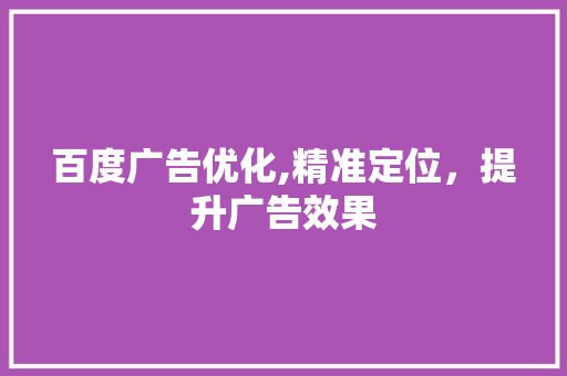 百度广告优化,精准定位，提升广告效果