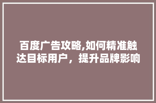 百度广告攻略,如何精准触达目标用户，提升品牌影响力