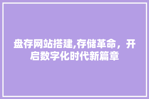 盘存网站搭建,存储革命，开启数字化时代新篇章