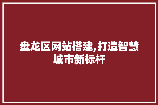 盘龙区网站搭建,打造智慧城市新标杆