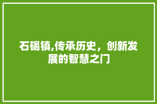 石碣镇,传承历史，创新发展的智慧之门