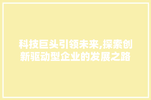 科技巨头引领未来,探索创新驱动型企业的发展之路