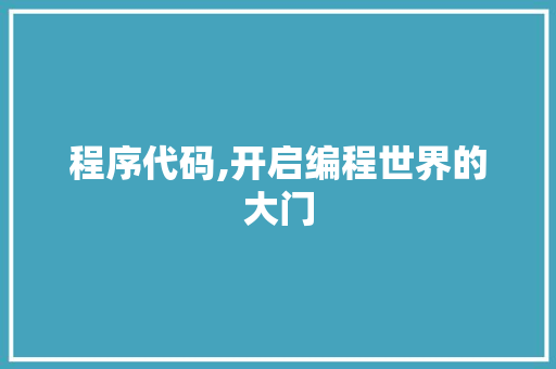 程序代码,开启编程世界的大门