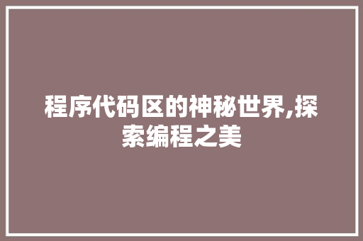 程序代码区的神秘世界,探索编程之美