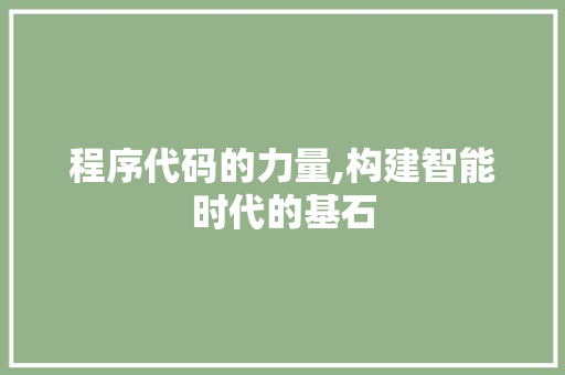 程序代码的力量,构建智能时代的基石