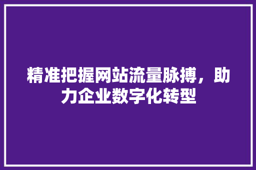 精准把握网站流量脉搏，助力企业数字化转型