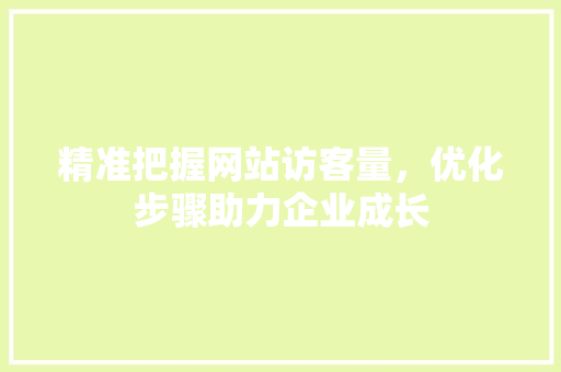 精准把握网站访客量，优化步骤助力企业成长