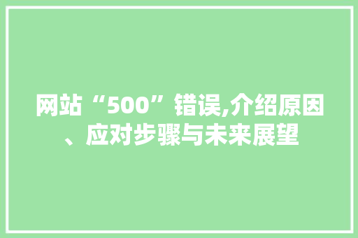 网站“500”错误,介绍原因、应对步骤与未来展望