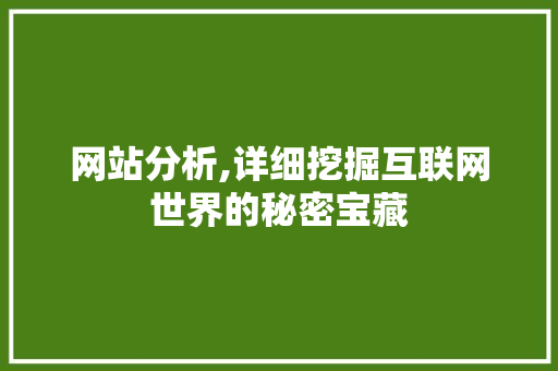 网站分析,详细挖掘互联网世界的秘密宝藏