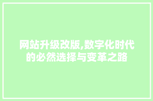 网站升级改版,数字化时代的必然选择与变革之路