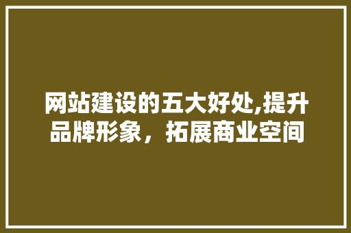 网站建设的五大好处,提升品牌形象，拓展商业空间