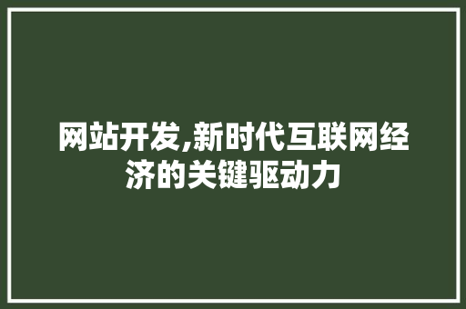 网站开发,新时代互联网经济的关键驱动力