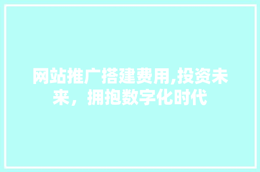 网站推广搭建费用,投资未来，拥抱数字化时代