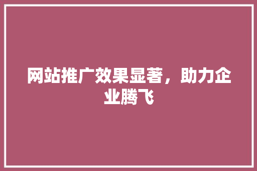 网站推广效果显著，助力企业腾飞