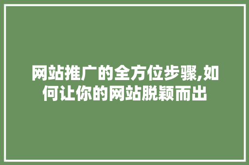 网站推广的全方位步骤,如何让你的网站脱颖而出