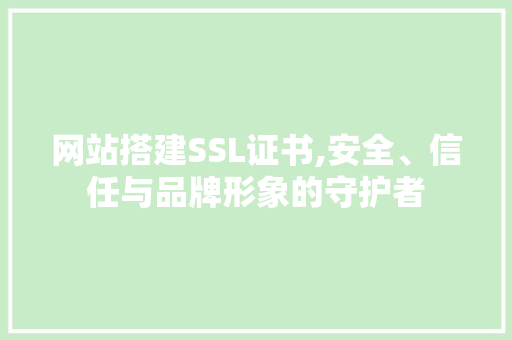 网站搭建SSL证书,安全、信任与品牌形象的守护者