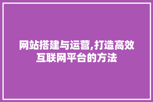 网站搭建与运营,打造高效互联网平台的方法