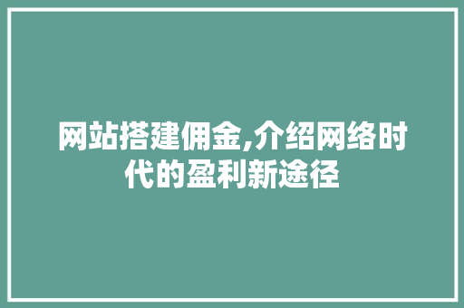 网站搭建佣金,介绍网络时代的盈利新途径