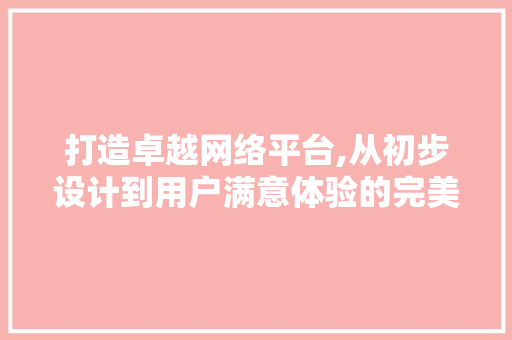 打造卓越网络平台,从初步设计到用户满意体验的完美蜕变