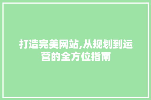 打造完美网站,从规划到运营的全方位指南